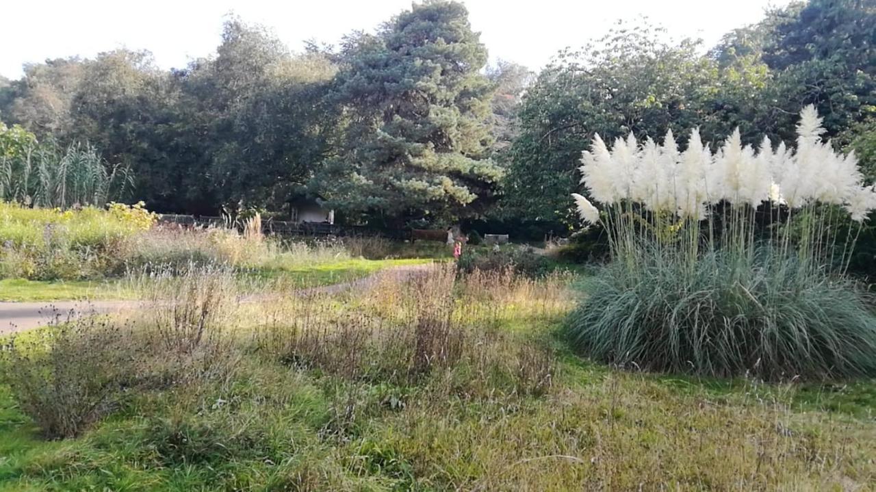 Many Worlds Meet - Eurostar, Wimbledon 30 Mins, Central London, Gatwick 15 Mins - Spacious, Sleeps Up To 16 Plus Cot - Free Wifi, Parking - Next To Lloyd Park, Great For Families, Walkers, Relocators - Ideal For Contractors Croydon Exteriér fotografie