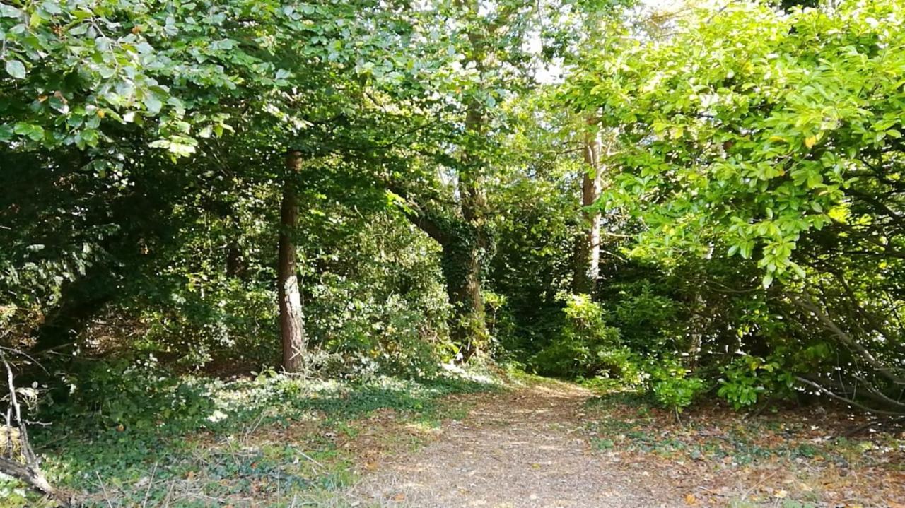 Many Worlds Meet - Eurostar, Wimbledon 30 Mins, Central London, Gatwick 15 Mins - Spacious, Sleeps Up To 16 Plus Cot - Free Wifi, Parking - Next To Lloyd Park, Great For Families, Walkers, Relocators - Ideal For Contractors Croydon Exteriér fotografie